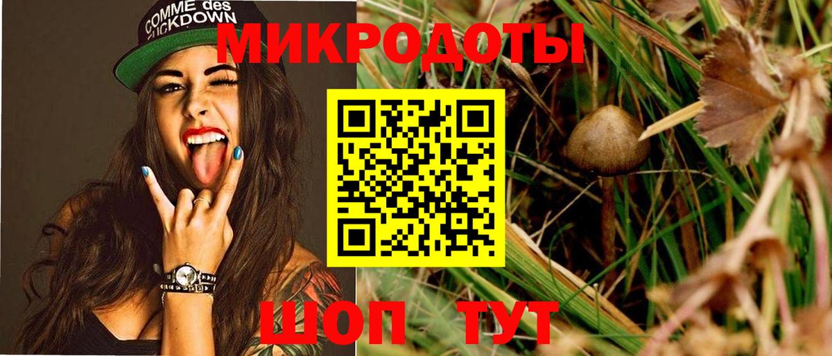 Галлюциногенные грибы Psilocybe Крымск